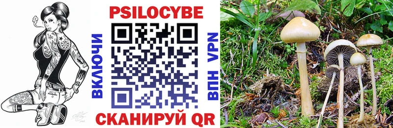 гидра tor Хадыженск Псилоцибиновые грибы MAGIC MUSHROOMS